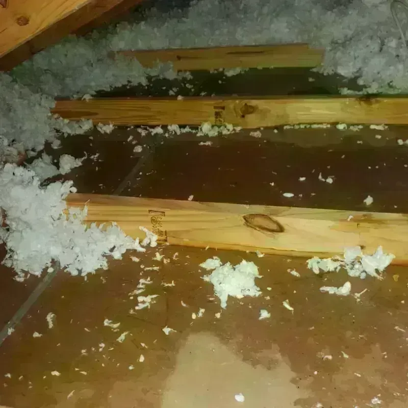 Attic Water Damage in Choctaw, OK