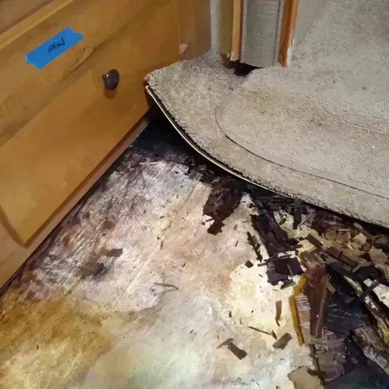 Best Wood Floor Water Damage Service in Choctaw, OK